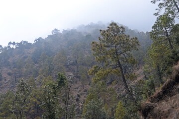 beautiful landscape with clouds in uttrakhand, india