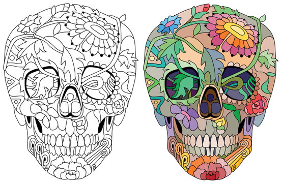 Zentangle stylized scull. Hand drawn decorative vector illustration for coloring. Color and outline set