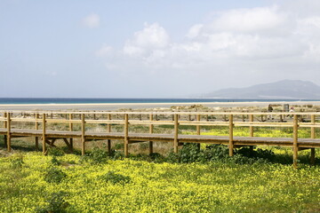 La belle plage de Tarifa, au bord de l'océan Atlantique, dans l'extrème sud de l'Andalousie en Espagne