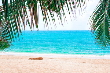 Naklejka premium Tropical beach with white sand and azure sea, hanging palm leaves. Seascape