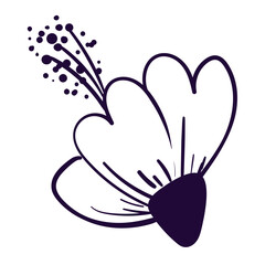 doodle flower vector