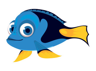 blue surgeonfish animal