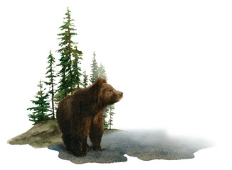 A brown bear with fir trees in the background hand drawn in watercolor. Watercolor animal illustration.
