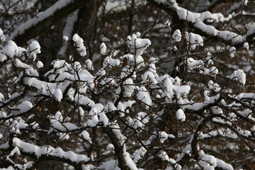 Winter with lots of snow in Bavaria is beautiful