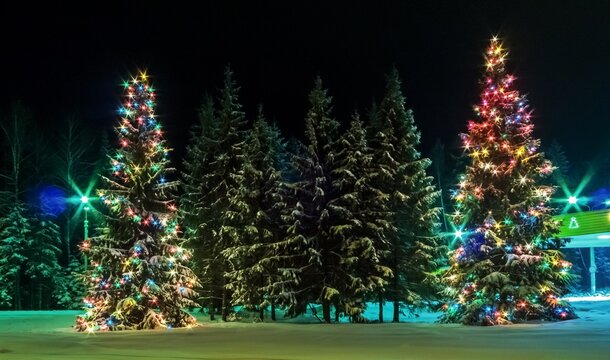 Two Christmas Trees Are Decorated For The New Year