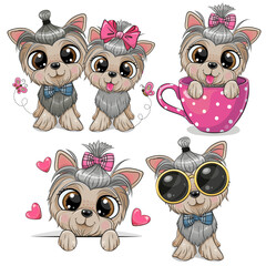 Fototapeta premium Set of Cute cartoon Dogs Yorkshire Terrier boy and girl