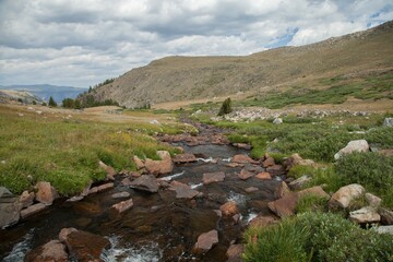 Fototapeta na wymiar Wyoming Creek in Beartooth Mountains, Wyoming