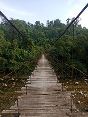 Obraz premium hanging bridge over river in tropical forest