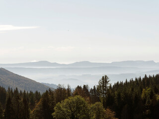 Naklejka na ściany i meble Black Forest landscape around Gersbach in Germany, forested mountains with view of Swiss Jura mountains to horizon