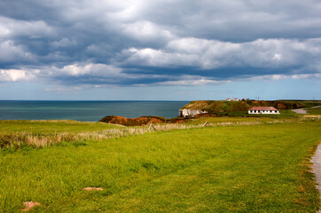 Thornwick Bay Coastline