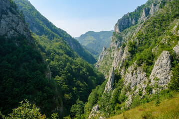 Fototapeta na wymiar Beautiful mountain gorge. Panoramic view of the mountain peaks. View from a high point on the picturesque mountain valley, sharp cliffs pierce through thick lush vegetation. Sunny summer day, blue sky