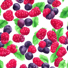 Colorful Raspberrie watercolor on bright white background 