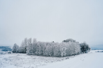 Winter of rural Toten, Norway, in Christmas time.