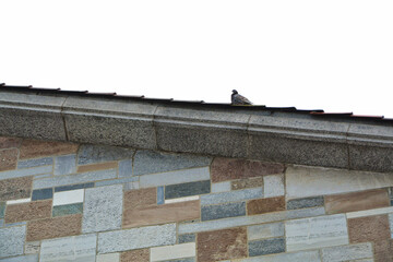 Fototapeta premium La chiesa di Nicolao della Flüe nel quartiere di Besso a Lugano, Svizzera.