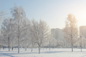 View of the winter snow covered in hoarfrost city park in the distance multi-storey buildings on a frosty sunny winter day.