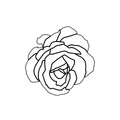Black rose flower design concept line art stock illustration.