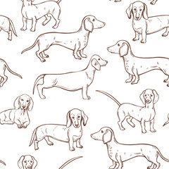 Vector  pattern with dogs.
