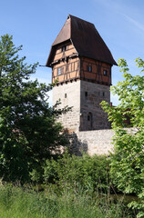 Fototapeta na wymiar Baeuerlinsturm in Dinkelsbuehl