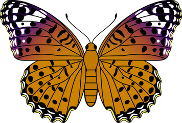 ツマグロヒョウモン