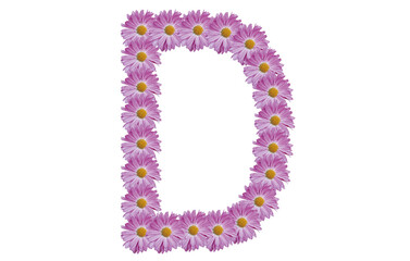 Letter D made with pink flower isolated on white background. Spring concept idea.