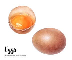 Watercolor raw eggs hand drawn illustration isolated on white background.