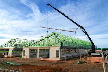Bau eines neuen Tierwohl-Schweinestalles, das Dach wird aufgebaut.