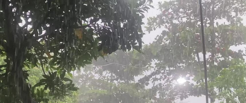heavy rain during the day is very cool