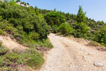 Fototapeta na wymiar Penteli mountain country road at Attica, Greece