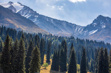 snow covered mountains