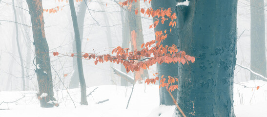 Beautiful wide panorama of a snowy forest on a foggy winter day with a grey tonal perspective and contrast of orange leaves and dark tree trunks in the foreground.