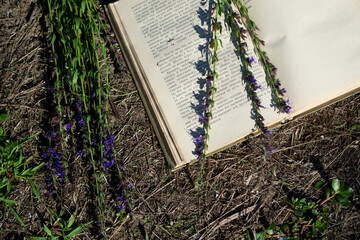 lavender on a book