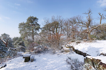 Snow on the Cuvier-Chatillon path. Fontainebleau forest