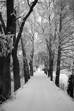 Winter of rural Toten, Norway, in Christmas time.