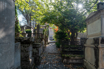 Fototapeta na wymiar Montmartre cemetery in Paris France in a sunny day in autumn