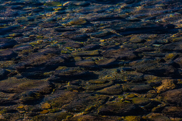 rocks in the water