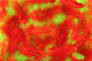 Obraz premium Background - small red and green plumes situated irregularly