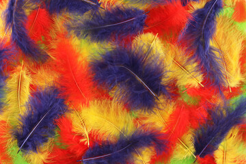 Background - small red, blue, green, yellow plumes situated irregularly