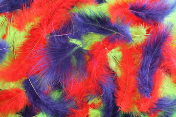 Background - small yellow, red, green and blue plumes situated irregularly
