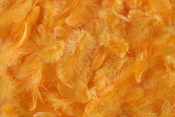 Background - small yellow plumes situated irregularly