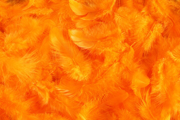 Background - small orange plumes situated irregularly