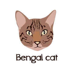 Bengal cat animal cute face in flat style. American Bengal kitten orange head portrait. Bengal pet head. vector illustration