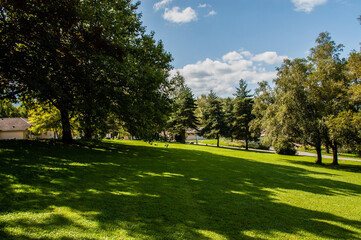 A green area in the resort alpine.