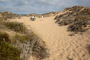 Dunes at Carreiro da Fazenda Beach; Vila Nova de Milfontes; Portugal