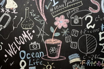 colored chalk drawings on a black slate wall.