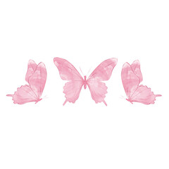 pink butterfly watercolor design