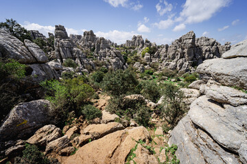 Fototapeta na wymiar El Torcal national park in Andalusia, Spain
