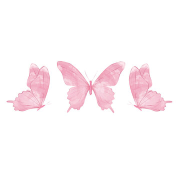 Butterflies & Solid Pink