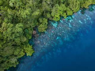 Lush jungle on a remote tropical island is fringed by a coral reef in the Solomon Islands. This...