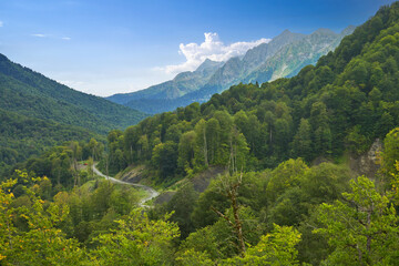 Fototapeta na wymiar Mountain terrain. A dirt narrow road winds along the wooded slope of the gorge.