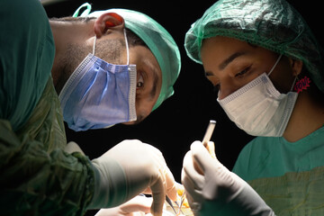 rhinoplasty surgery, defects in the shape of the nose in the female patient. Surgical intervention...
